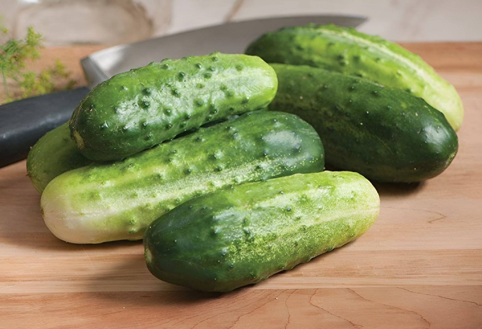 60 Heirloom Arkansa’s Litte Leaf Cucumber Seeds High Yield- Compact Bush Variety