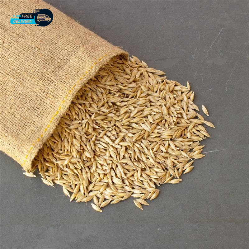 Unhulled Organic Einkorn Grain Seeds Ancient Heirloom Wheat for Planting