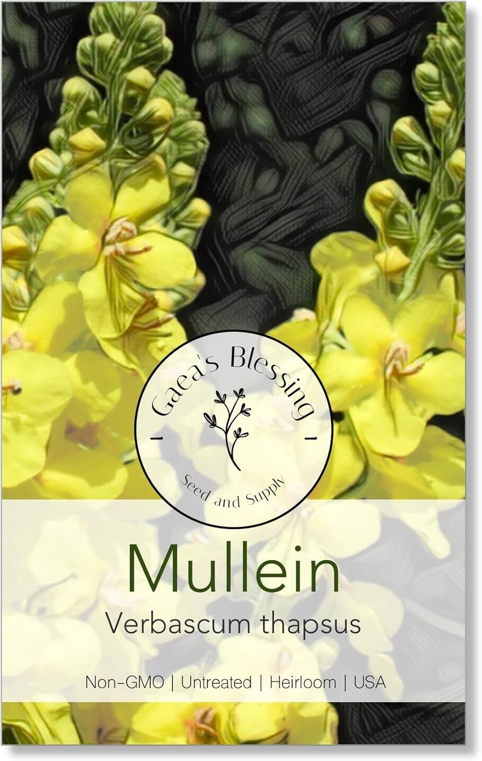 Open-Pollinated Mullein Seeds – Non-GMO Herb Seeds with Vibrant Yellow Blooms