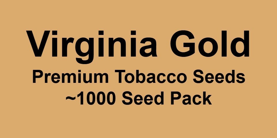 1000 Virginia Gold Tobacco Seeds ~ Heirloom Nicotiana Tabacum ~ Fast grow