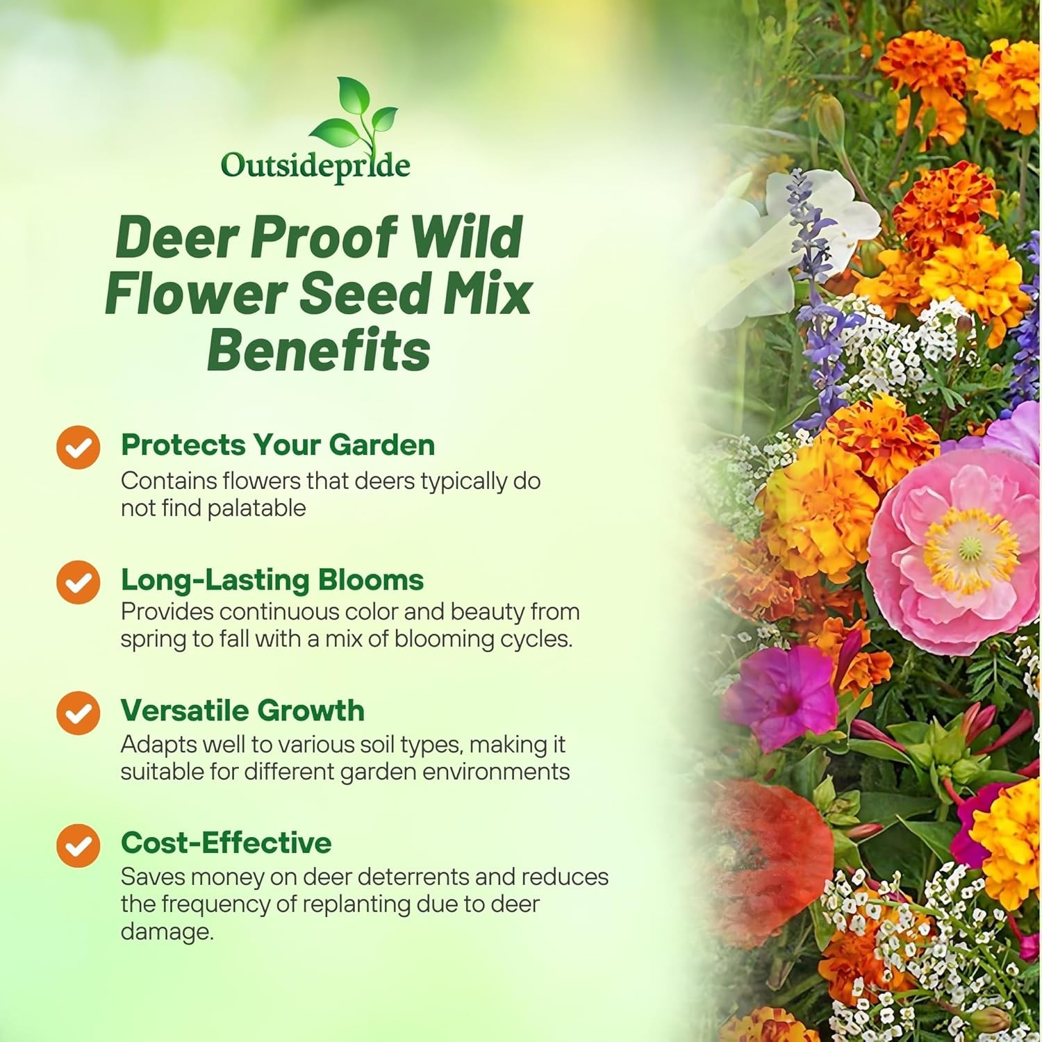 1 LB Deer Resistant Wild Flower Seed Mix – available in bulk