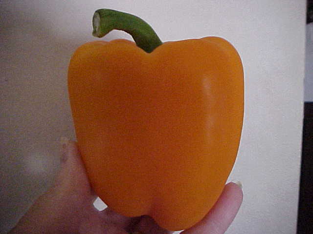 16 SEEDS ORGANIC RARE BRIGHT EXTRA LARGE ORANGE “SWEET” BELL PEPPER SEEDS