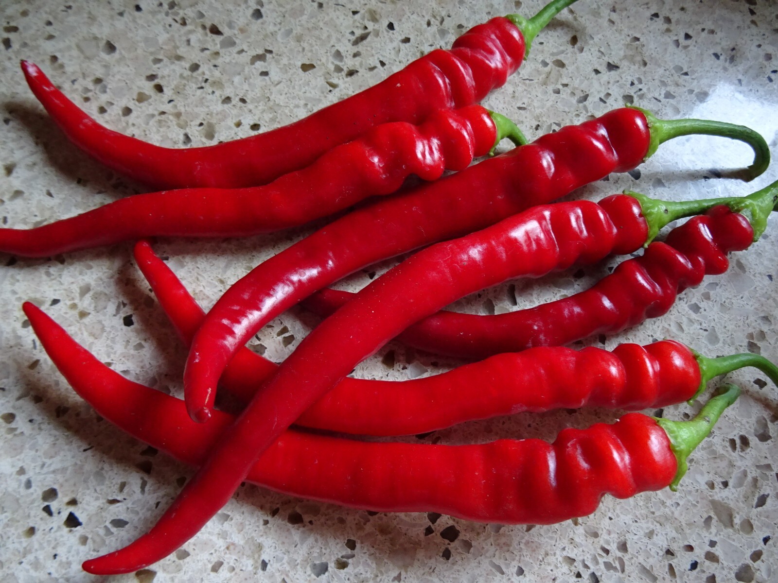 Jimmy Nardello Sweet Red Pepper 30 seeds Italian Heirloom Organic