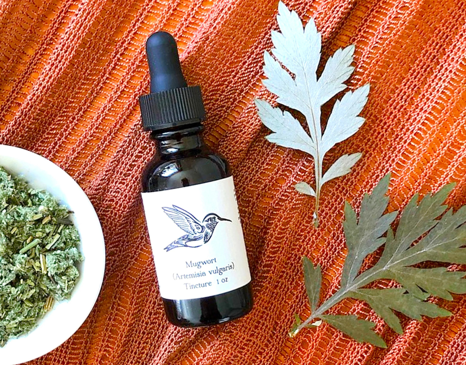 Common Mugwort Seeds | Artemisia Vulgaris Moxa Wormwood Herb Seed Free Shipping