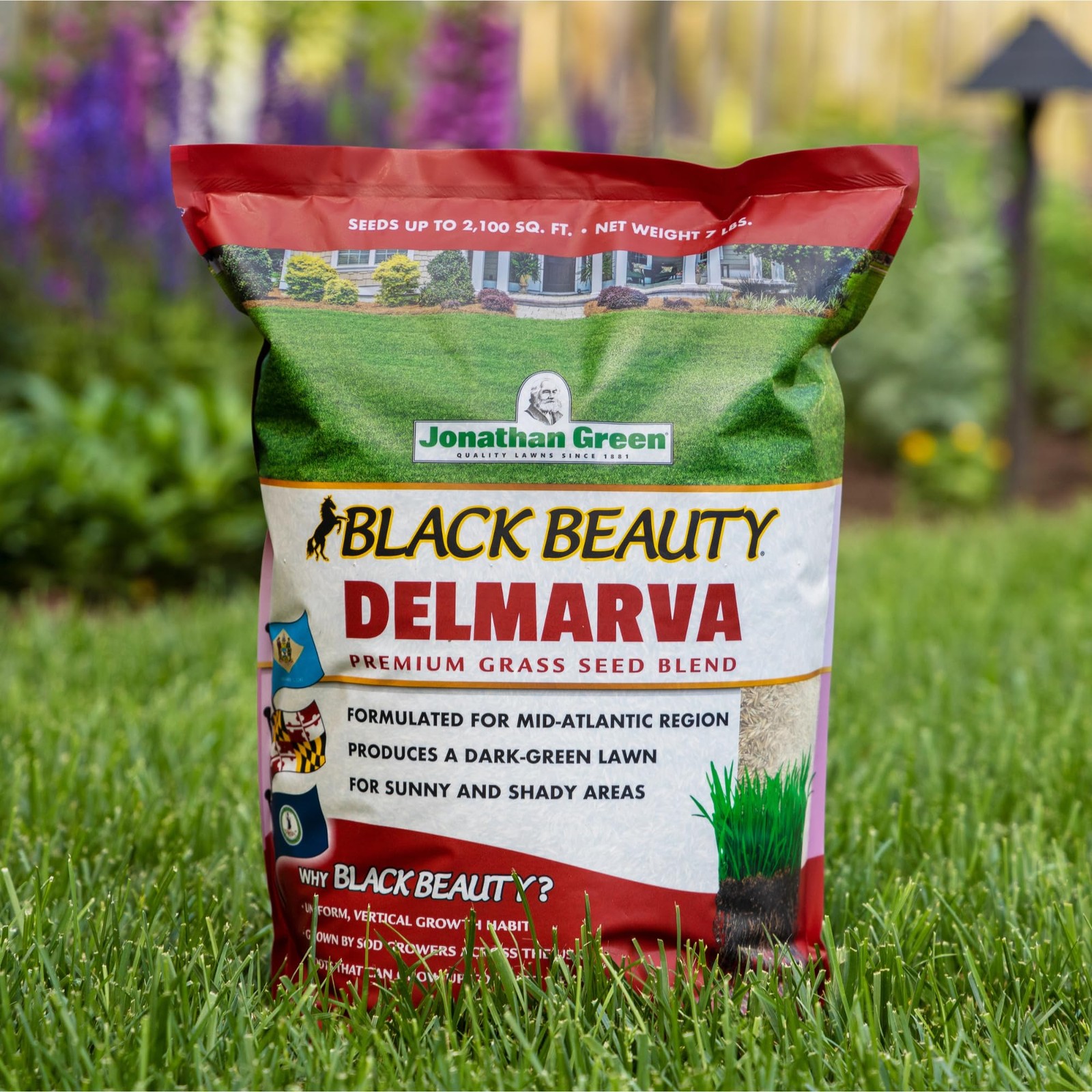 Jonathan Green Black Beauty Delmarva Grass Seed 25 lb for Mid Atlantic Lawns
