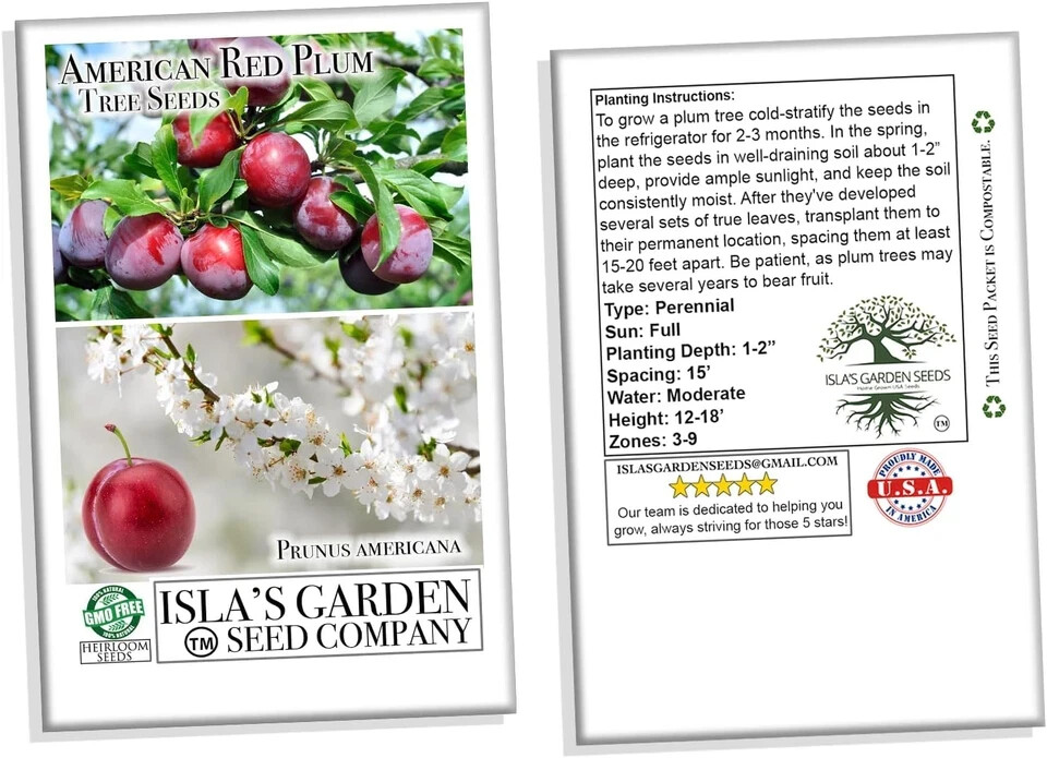 American Red Plum Tree Seeds for Planting, 5 Fruit Seeds per Packet, (), Non GMO