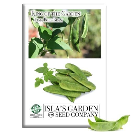 King of The Garden Lima Bean Seeds (Pole Lima, Phaseolus lunatus) – 25+ Non