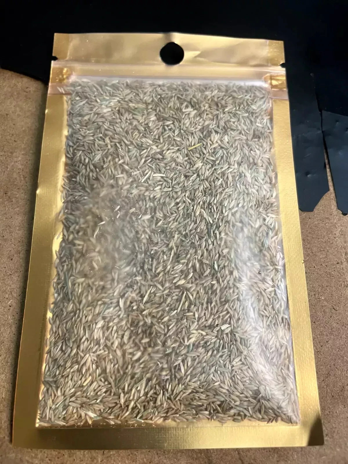 (4 Pack) Zenith Zoysia Grass Seed – More Than 20,000 Seeds! for Lush Lawn Growth