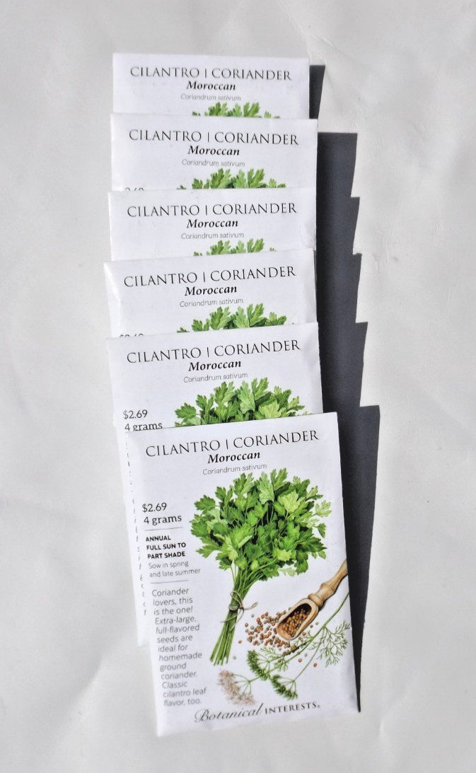 Lot #9 Botanical Interests seeds. 6 packs Moroccan Cilantro Coriander