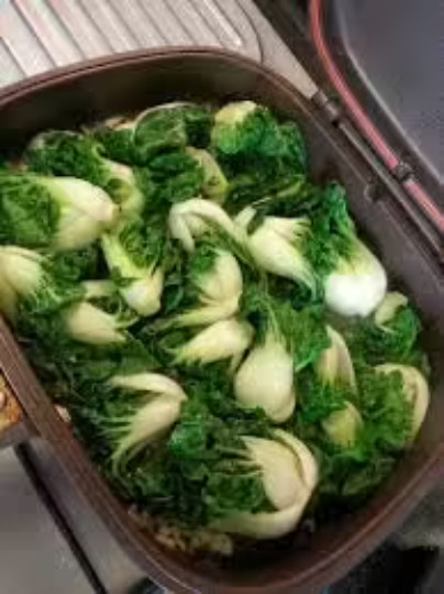 FreeShip 1-OZ 12,000+ DWARF CANTON White Stem Pak Choi seeds 矮腳奶白菜 Naibaicai