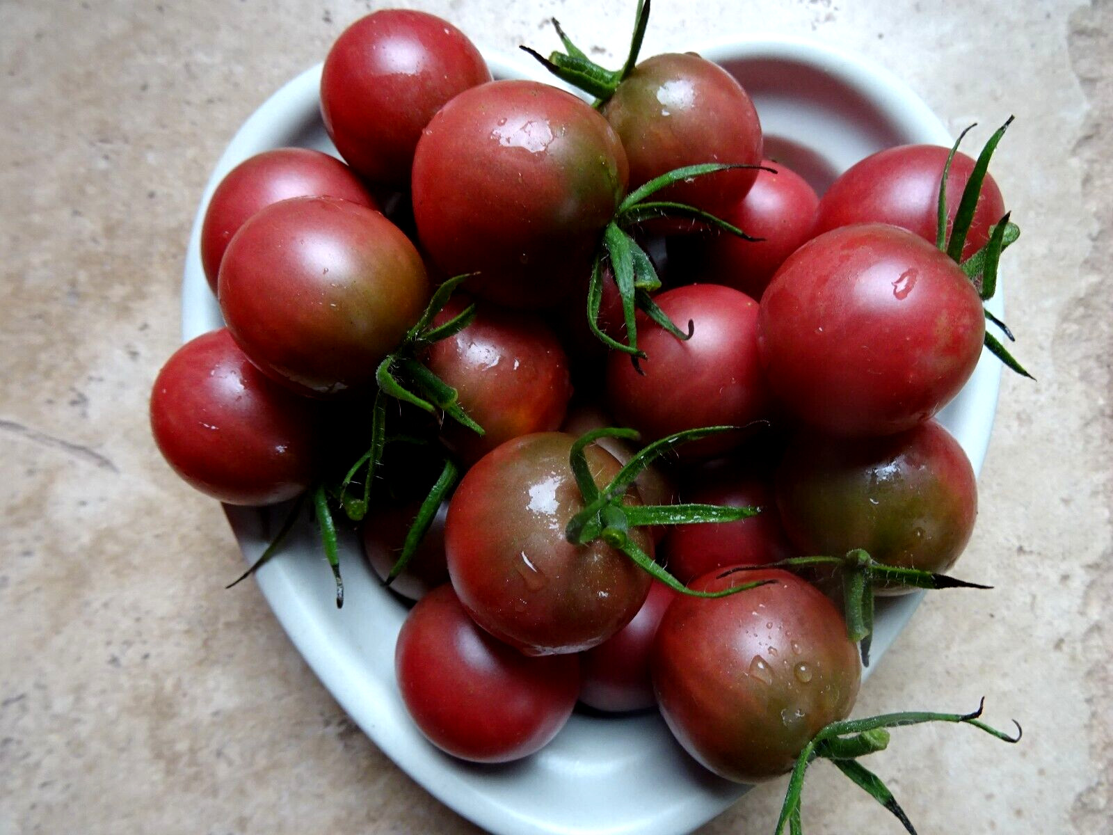 Chocolate Cherry Tomato 50 Seeds Non-GMO Organic Grown 2024 Delicious heirloom