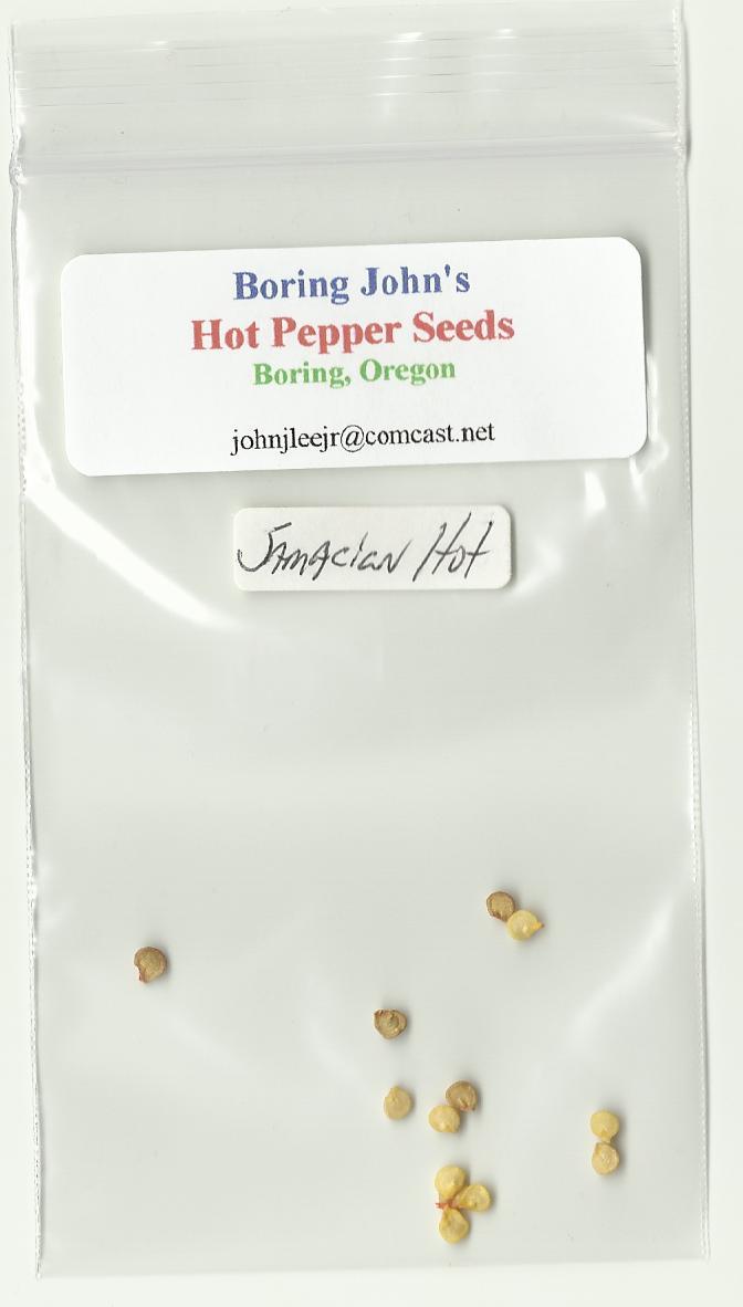 Jamaican Bell Shaped Organic Seeds – Hot Pepper – Large Red – Pkg 10+ – Ltd Qty