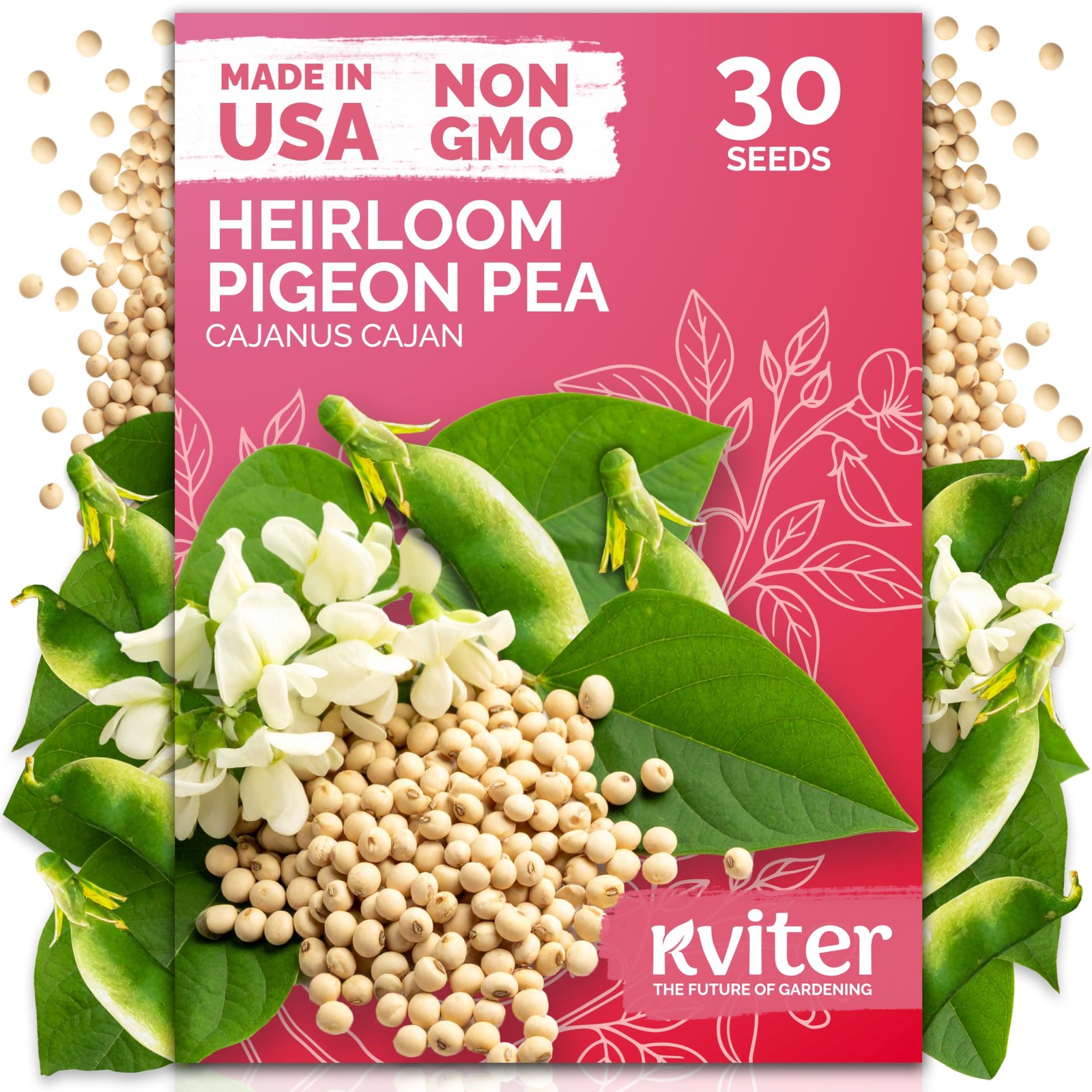 KVITER 30 Guandules Pigeon Peas Seeds for Planting (Cajanus Cajan)