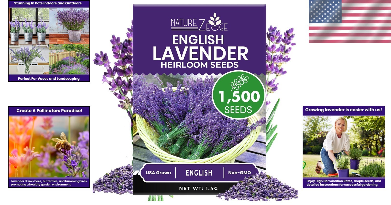Indoor/Outdoor 1500 Lavender Seeds – Drought-Tolerant & Pollinator-Friendly