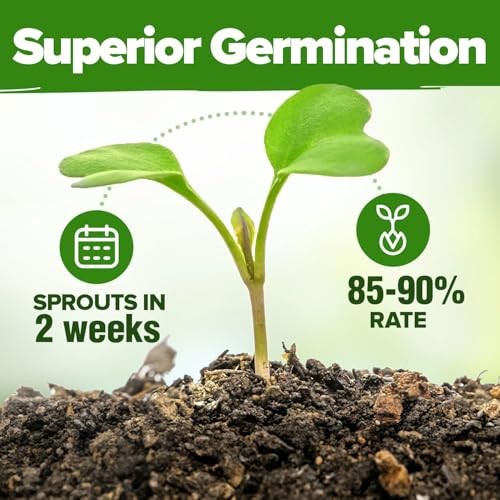 Mint Seeds Variety Pack – 870+ Heirloom Non-GMO USA Peppermint, Spearmint &