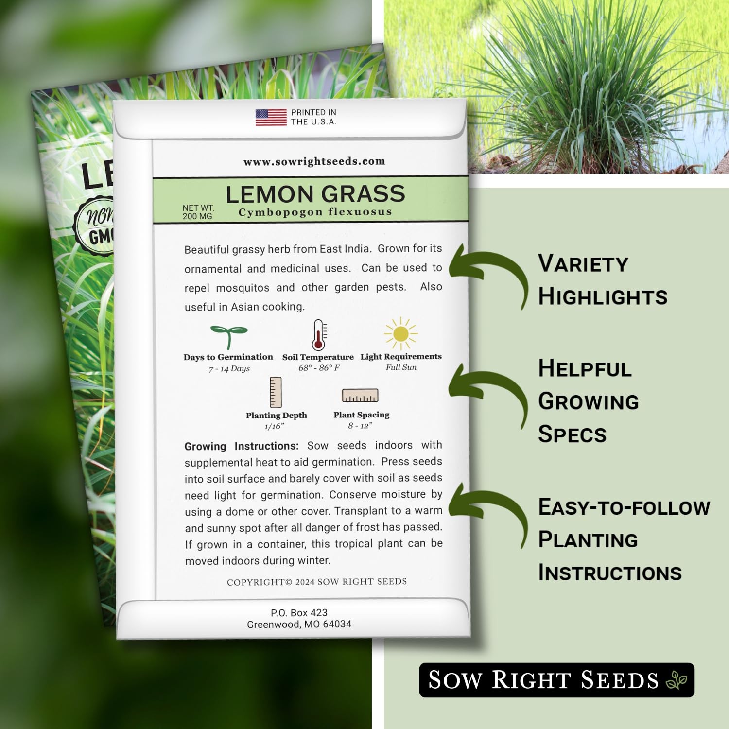 – Lemon Grass Seeds for Planting – Non-GMO Heirloom – East Indian – Mosquito …