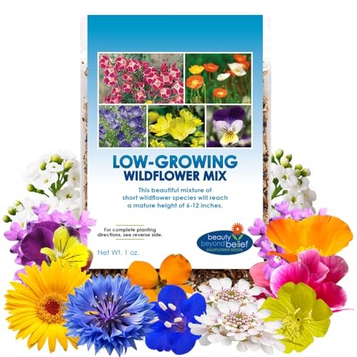 Low Growing Wildflower Seeds Mix – 1oz, 6-12 Inches Short Flowers – Non-GMO