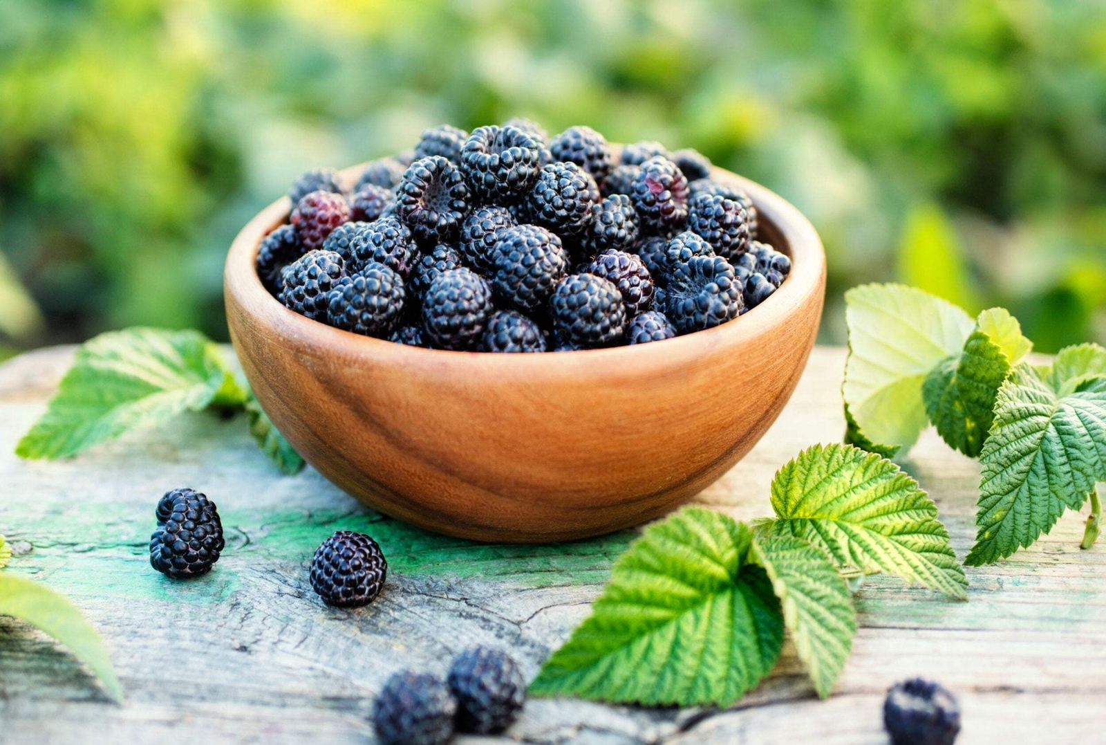 50 WHITEBARK Black RASPBERRY Western Blackcap Rubus Leucodermis Fruit Berry Seed