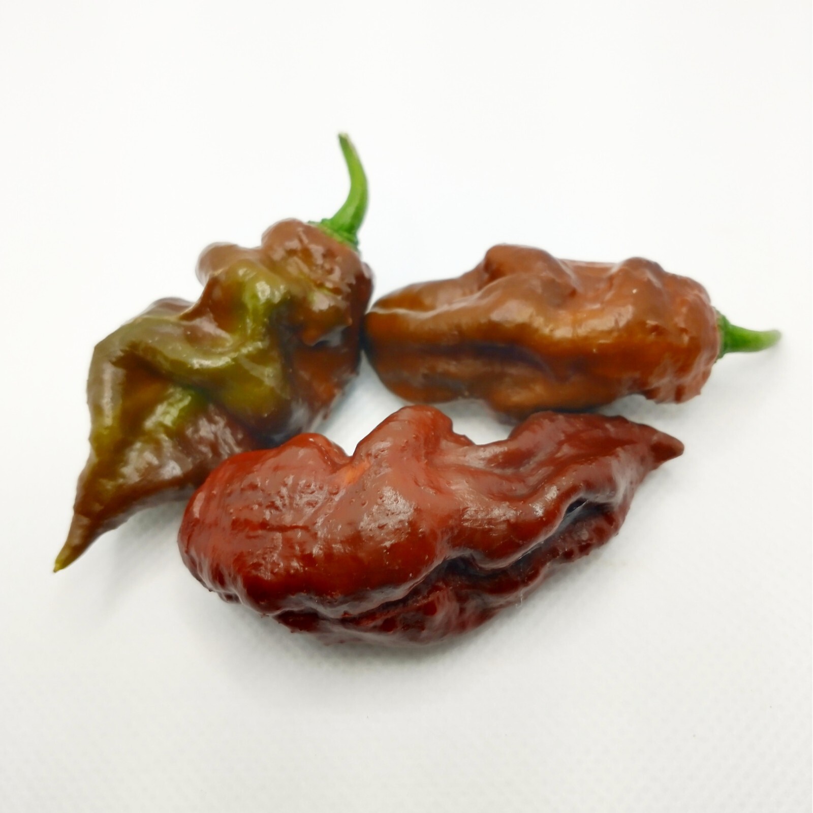 BIG BLOCK Pepper Combo- 4 Superhot Varieties – 20 Seeds Of Each – Great Discount