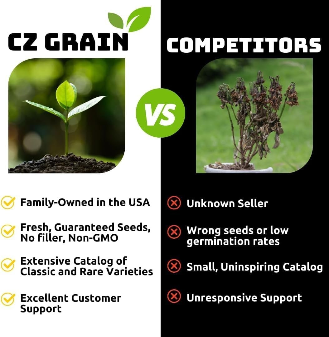 Vibrant Heart’s A’Fire Caladium Bulbs – Perfect for Full Sun and Garden Elegance
