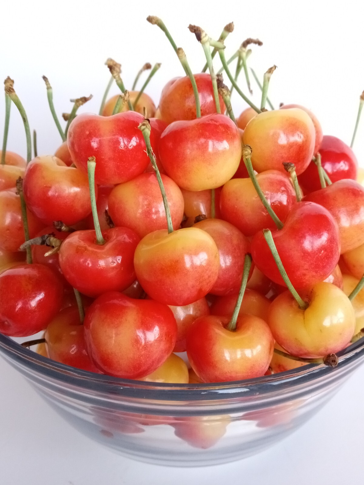 Sweet Organic Rainier Cherry – 5 Seeds Ready to Germinate -Edible Fruit Tree USA