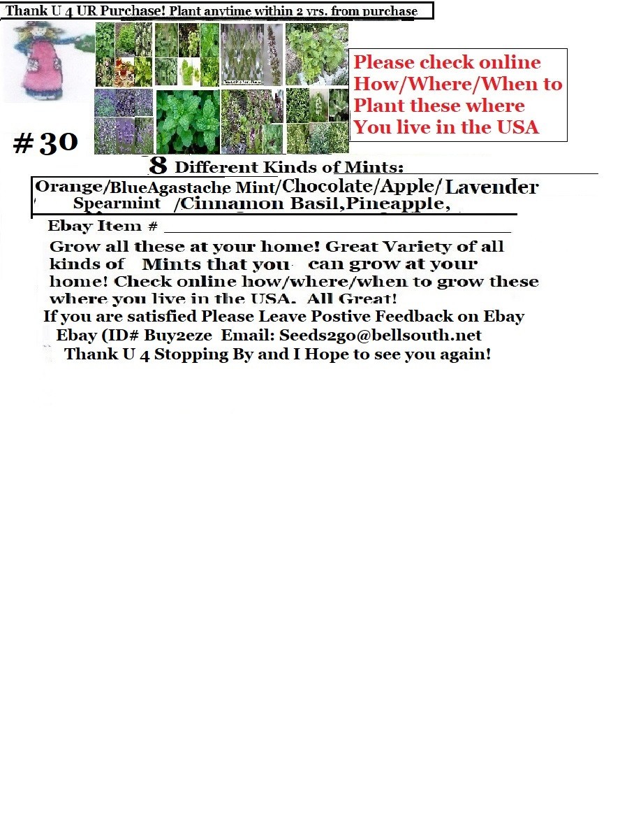 8 Seed Mints:Spearmi/Cinnm/Choc/B Agastach/Lavendr/Apple/Orange/Pineaple #25 USA