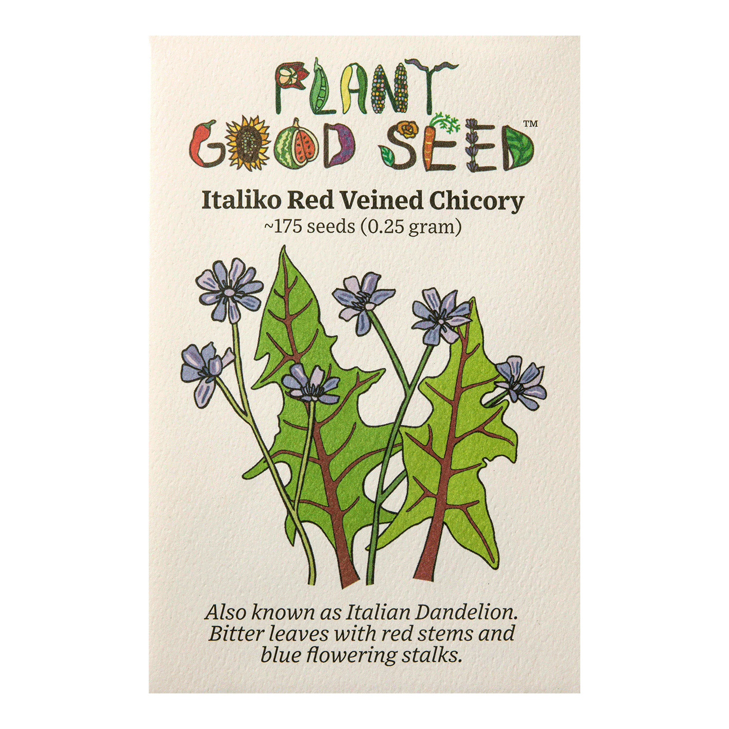 Italiko Red Veined Chicory Seeds