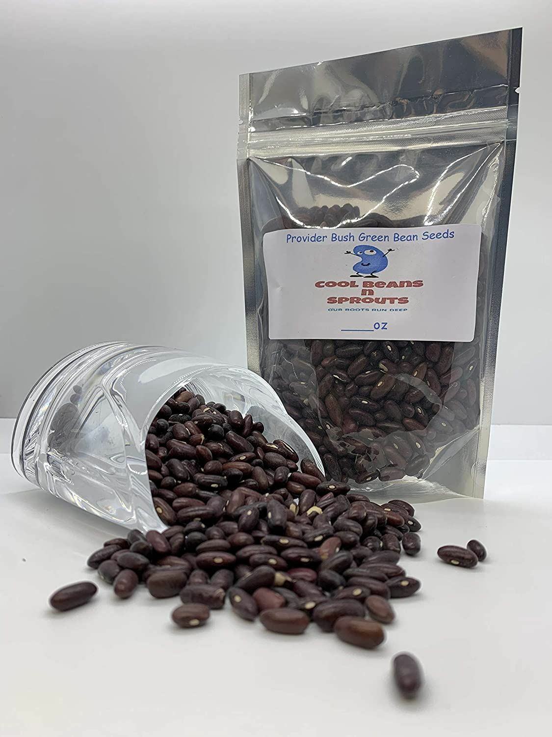 Bean Provider Bush Bean Seeds. “COOL BEANS n SPROUTS” Brand, A Garden Favorite,
