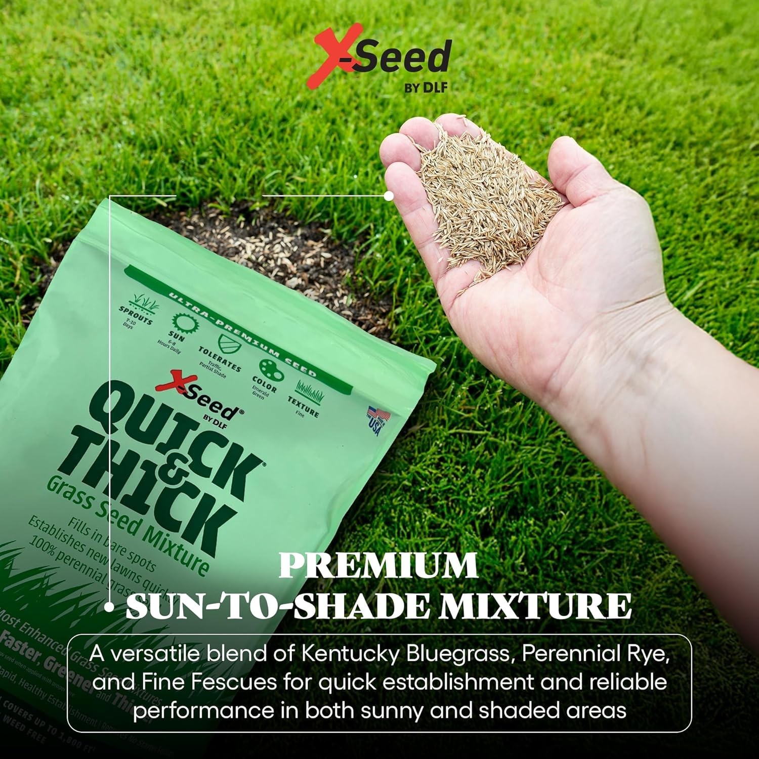 Ultra Quick and Thick Lawn Seed Mixture – Rapid Germination for Any Lawn, De…