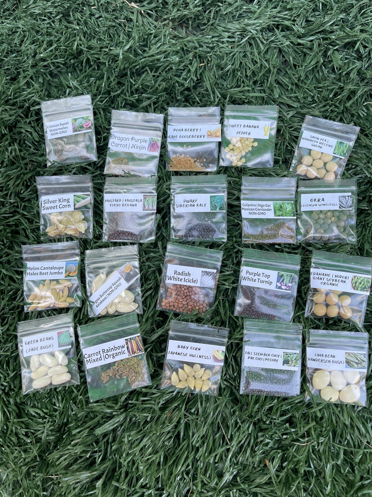 20 Packets of Vegetable Seeds Package Combo +2 Mystery Seeds