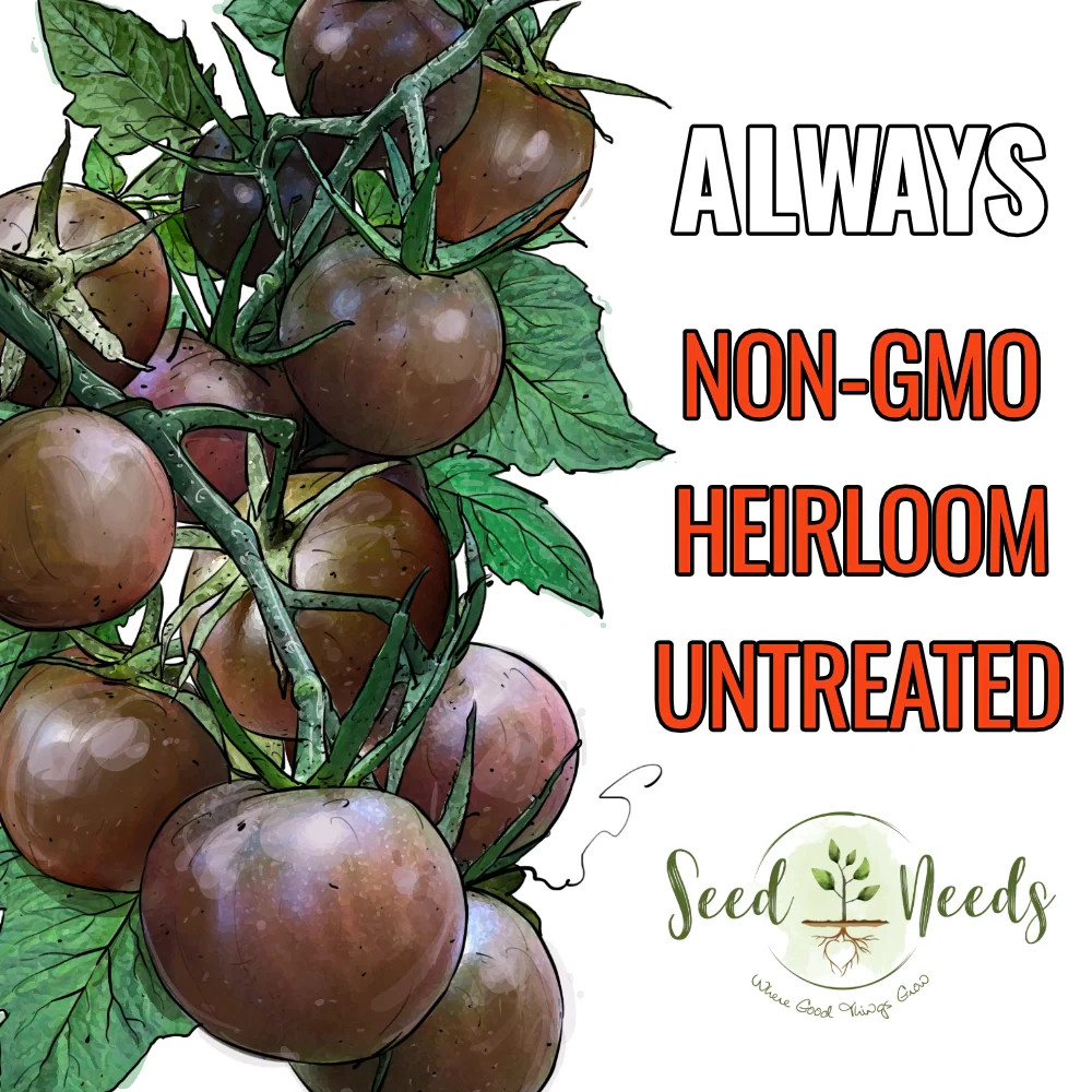 Black Cherry Tomato Seeds For Planting (Solanum lycopersicum)