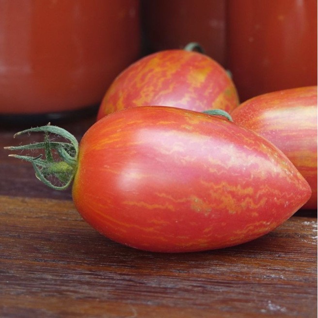 10 seeds Candy Sweet Icicle Tomato Large Cherry Rare Variety Indeterminate