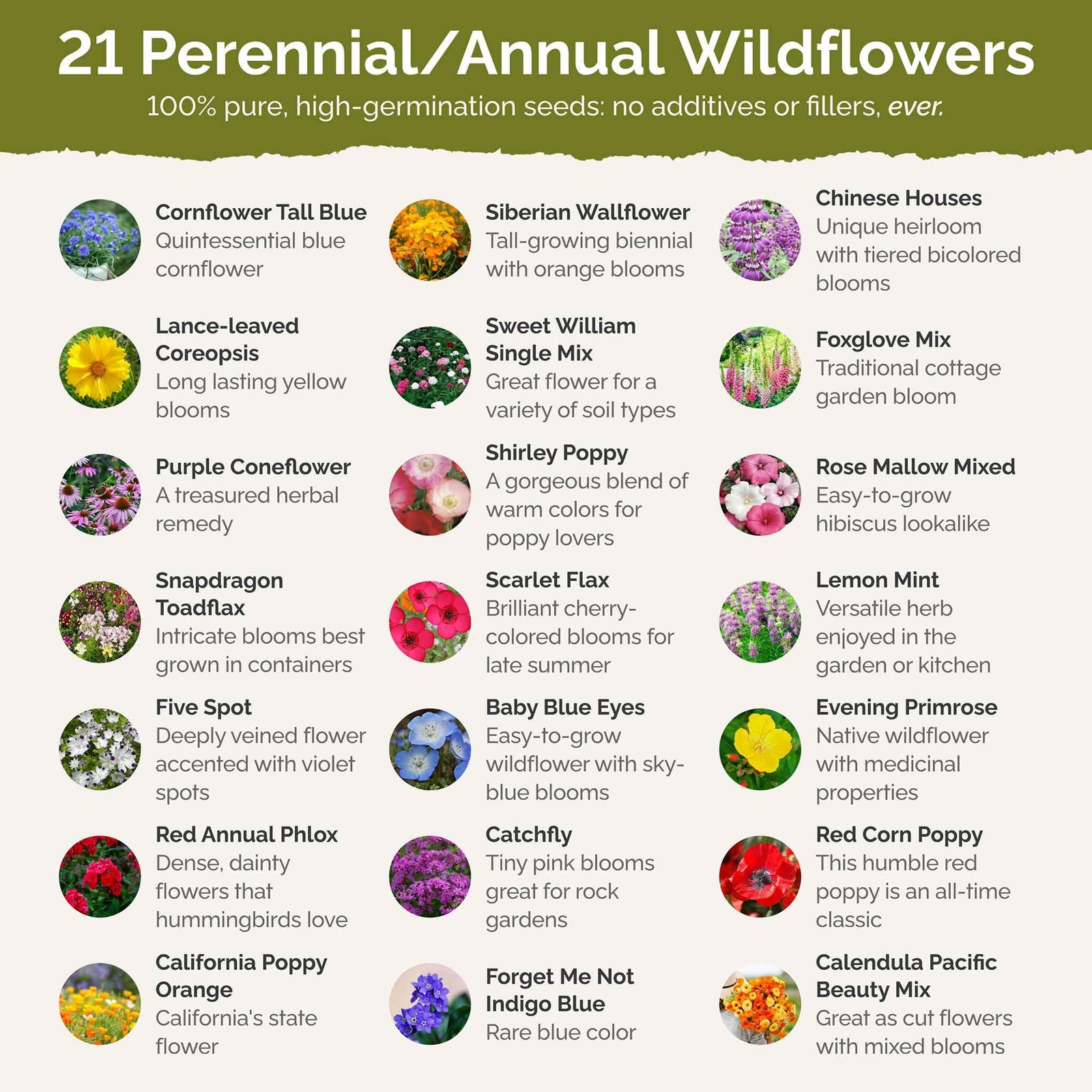 Partial Shade Wildflower Mixed Seeds for Planting, 1/4 lb, 120,000+ Seeds wit…