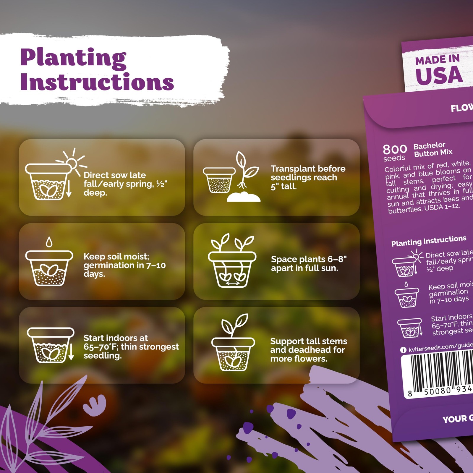 KVITER 1,600 Mix Bachelor Button Seeds (Centaurea cyanus), 2 Pack