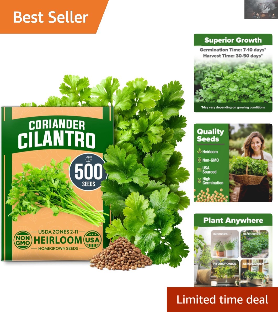 Indoor & Outdoor Heirloom Cilantro Seeds – Practical Gift for Plant Lovers