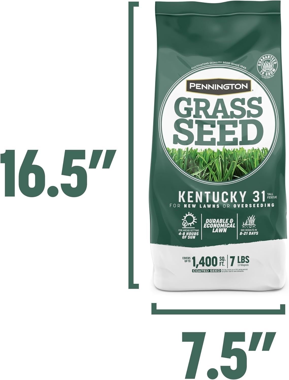 Quick-Germinating Kentucky 31 Tall Fescue Grass Seed – 1400 sq ft Coverage