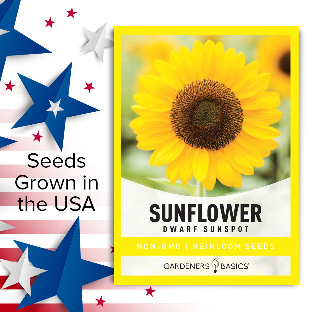Sunspot Sunflower Seeds