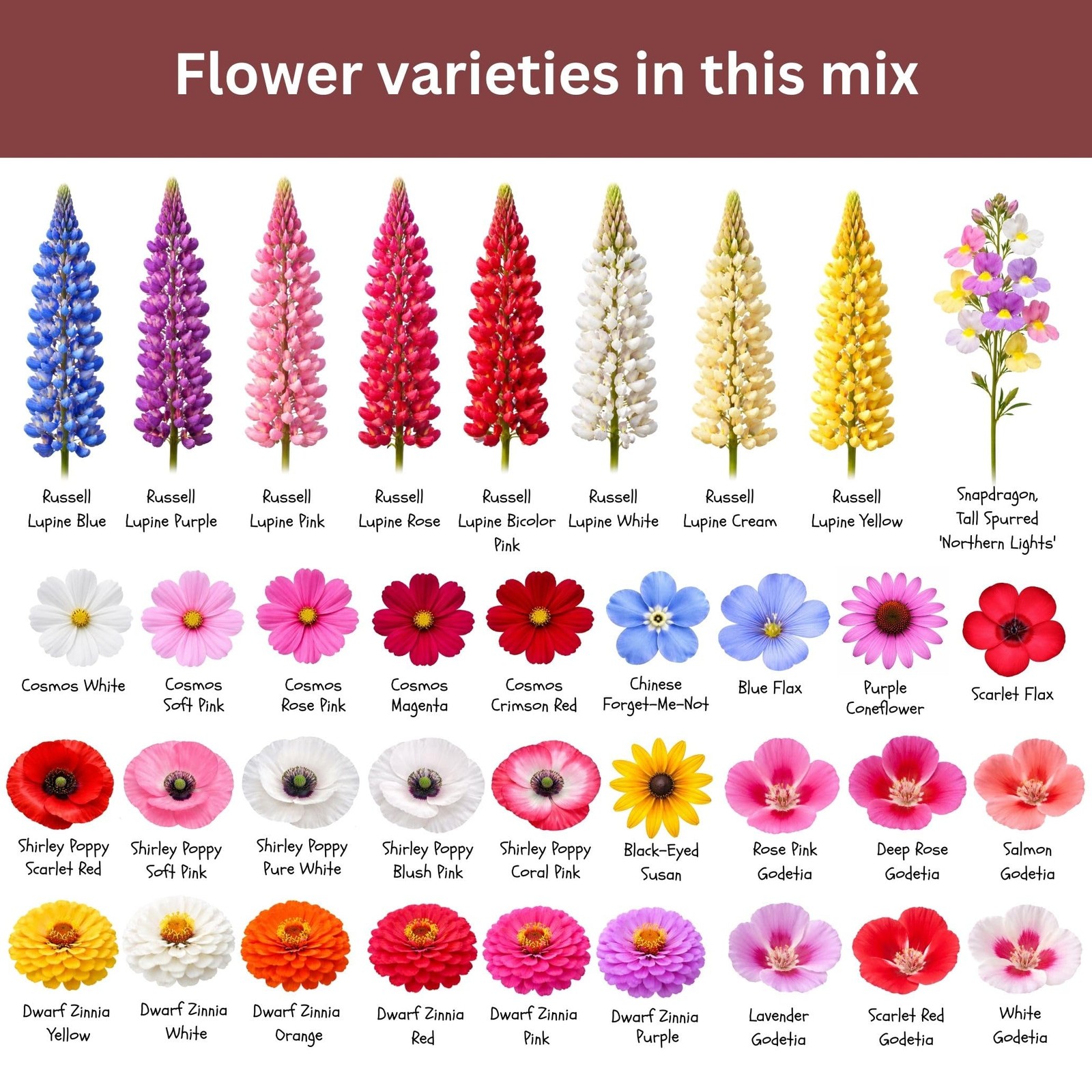 SunHaven Seeds Butterfly and Hummingbird Wildflower Mix – 30,000+ MultiColor