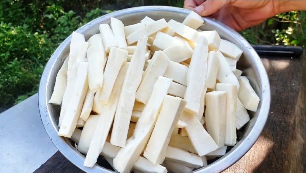 2 x Togo Sweet Cassava Plants / Beyond Organic Yuca