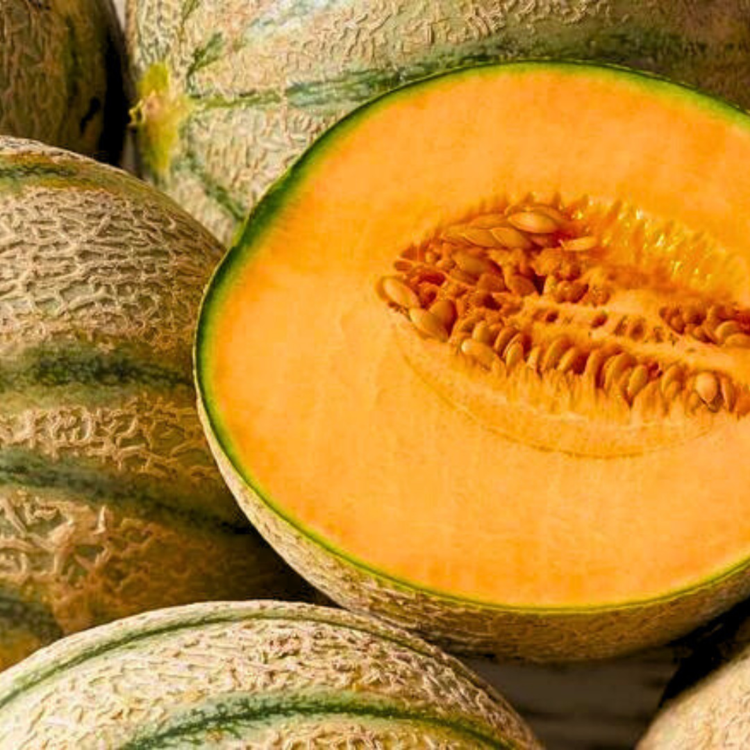 Fresh Delicious 51 Cantaloupe Seeds | Heirloom Non-GMO | Fruit Seeds
