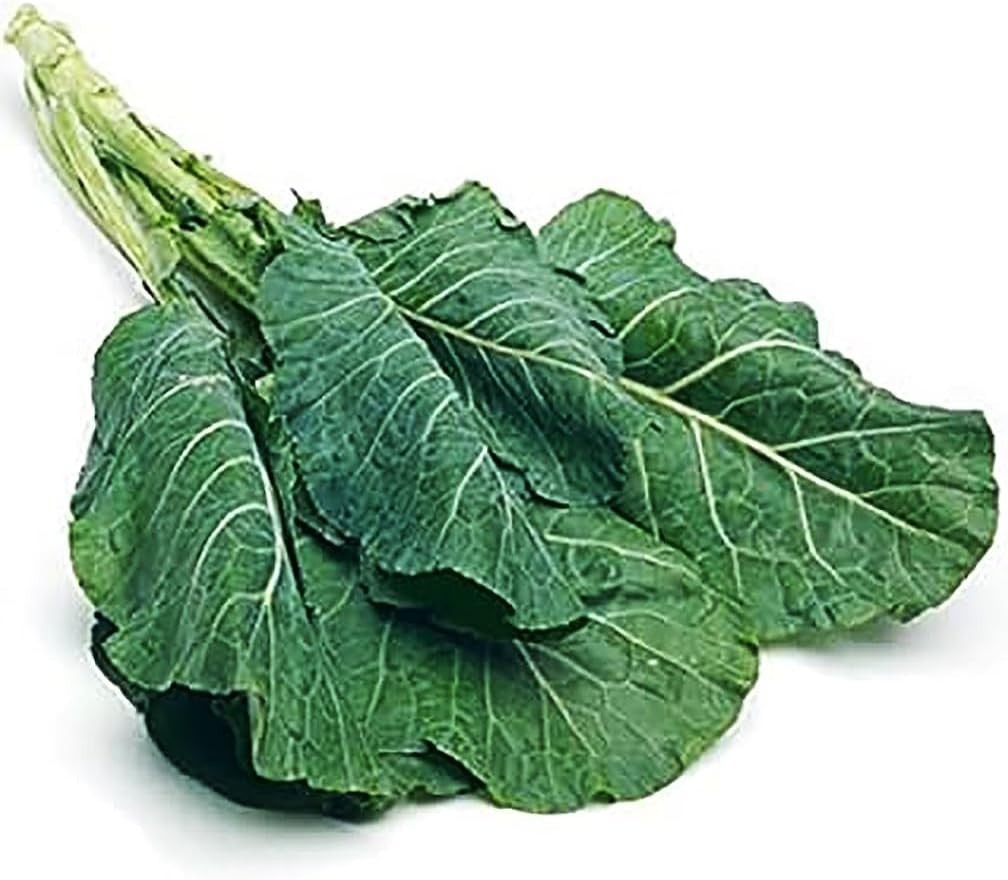 Heirloom Vegetable Seeds Dark Blue Green Collards for Spring and Summer Planting
