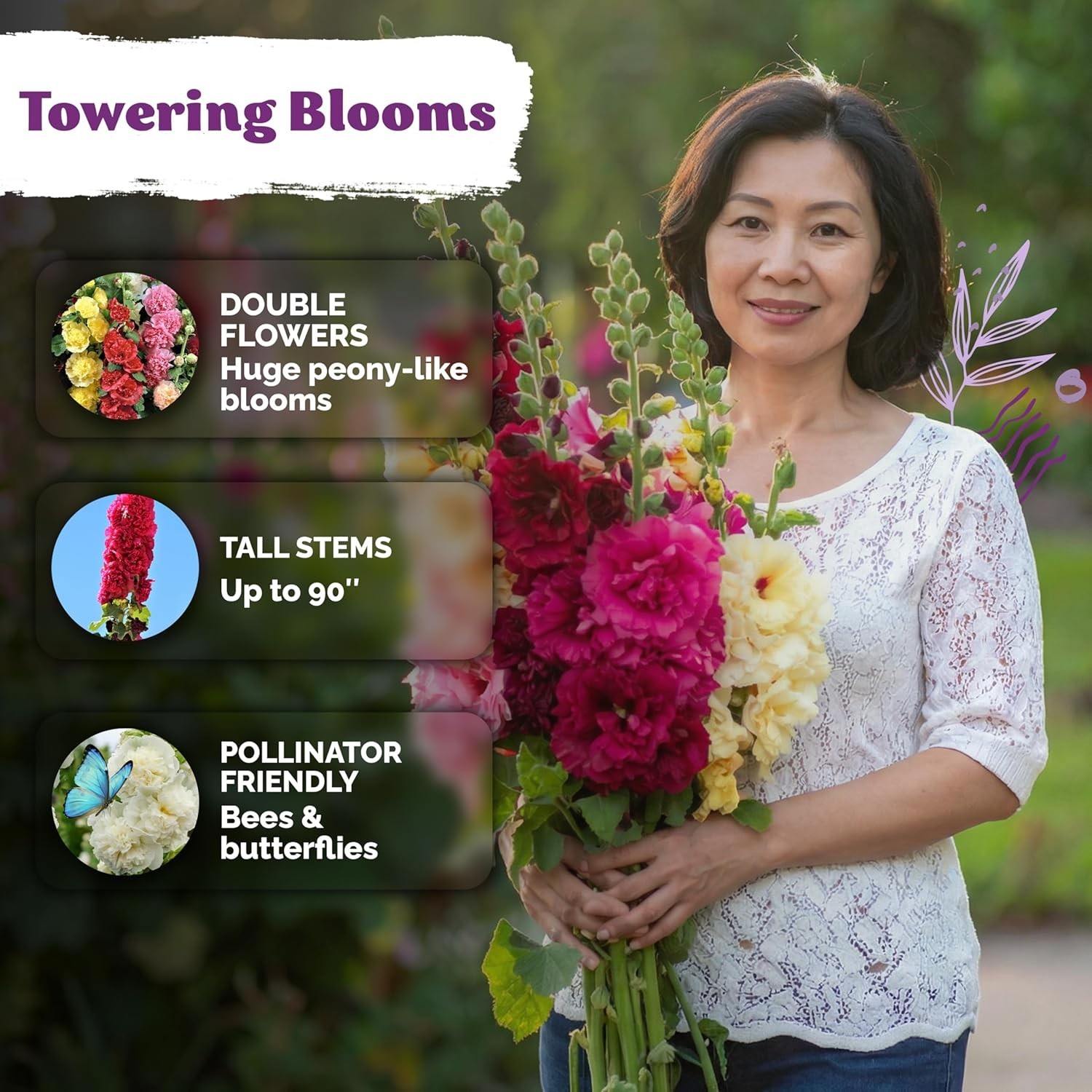Pollinator Magnet – 150 Chaters Hollyhock Seeds, Vibrant Multi-Color Blooms