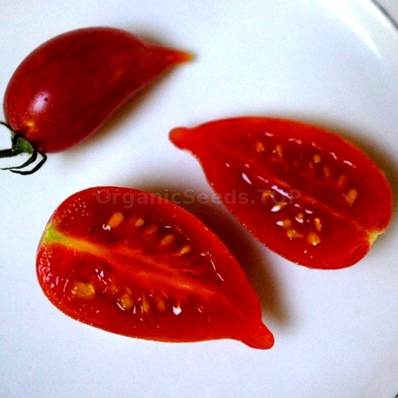 10 seeds Candy Sweet Icicle Tomato Large Cherry Rare Variety Indeterminate