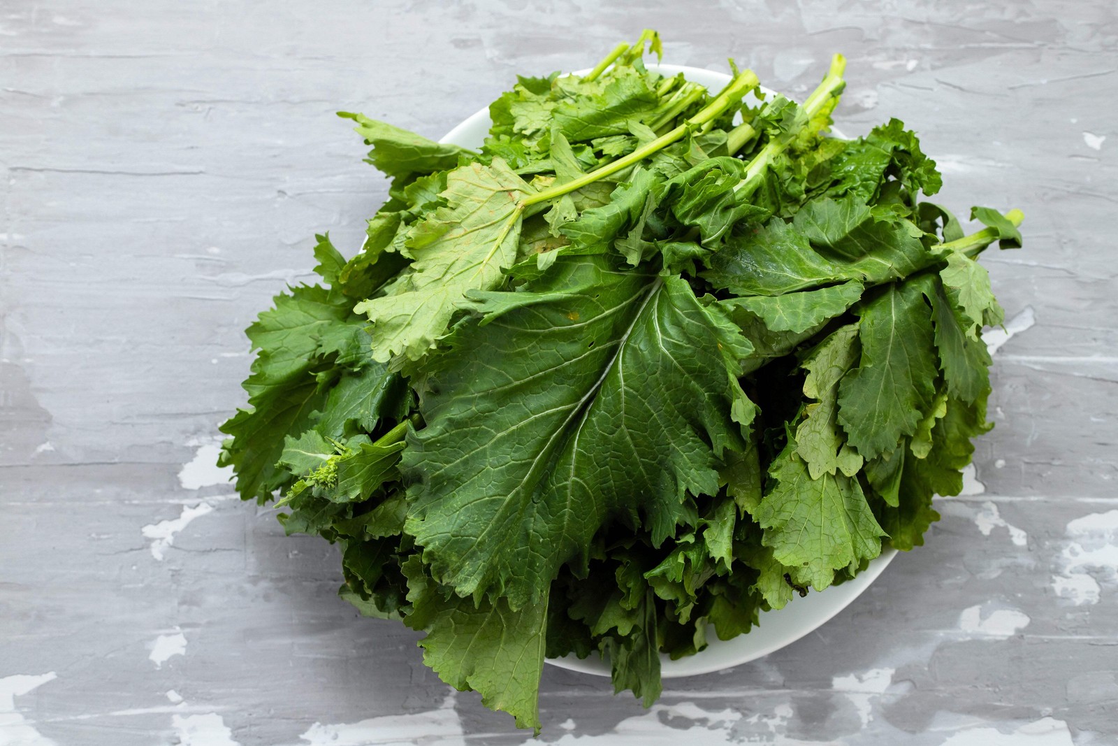 1500 SEVEN TOP TURNIP For Leaf Greens & Sprouts Brassica Rapa Vegetable Seeds