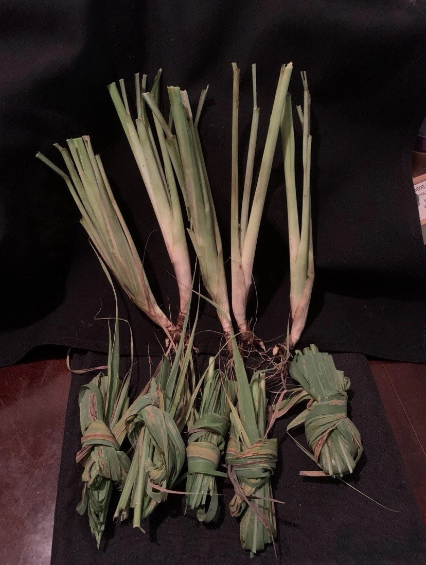 💥Bundle Dry Zanmoret Leaves Pea Eggplant Turkey Berry Oregano Moringa cathedral
