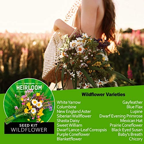 Wildflower Seeds – Premium Flower Seeds [1/4 Pound] Garden Seeds for Perennial