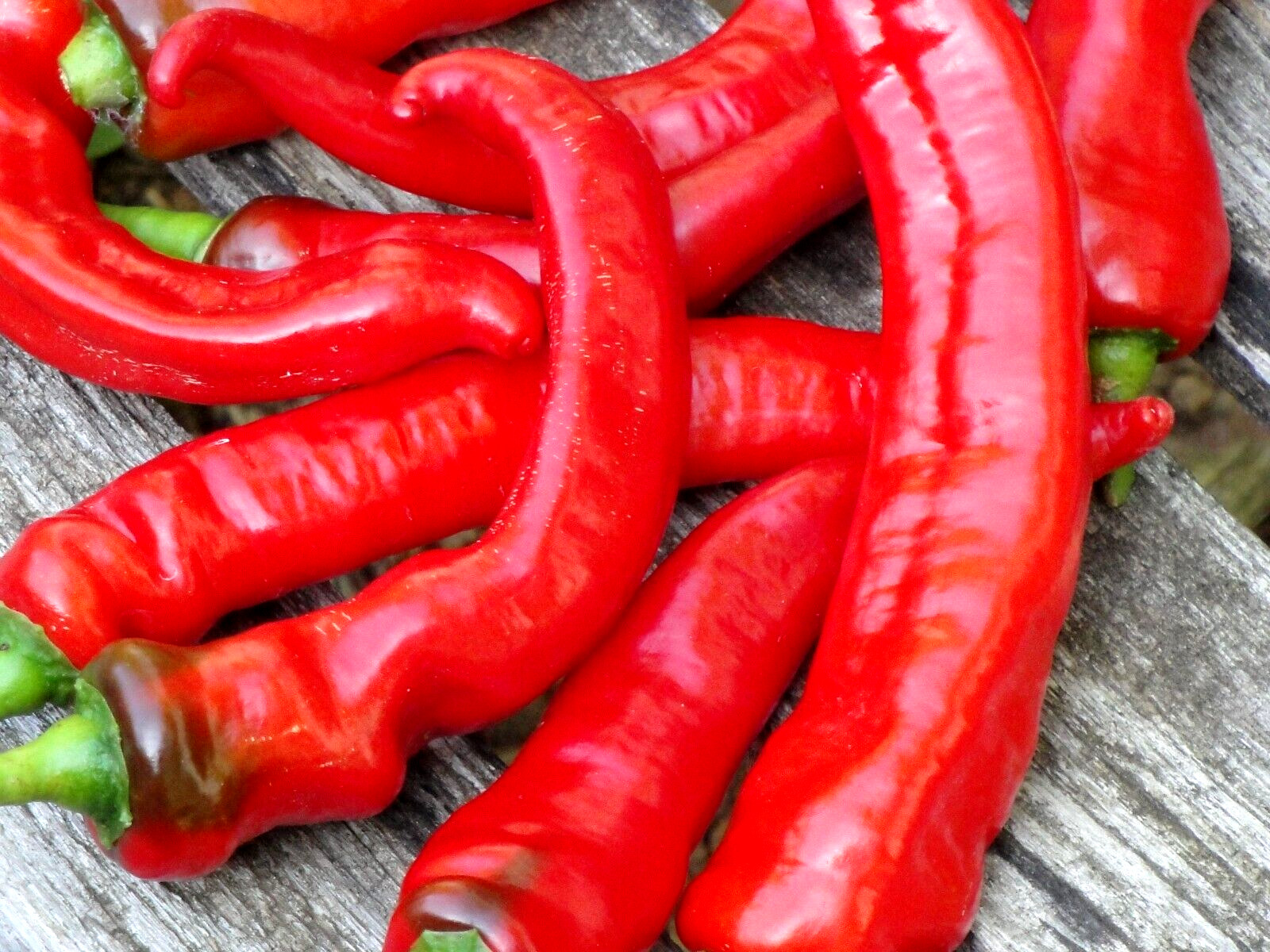 Jimmy Nardello Sweet Red Pepper 30 seeds Italian Heirloom Organic