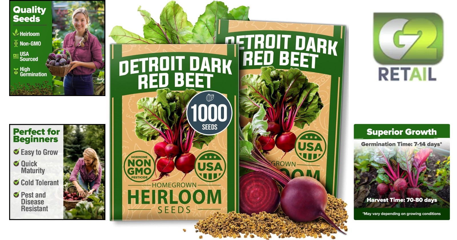 Detroit Dark Red Beet Seeds 2 Pack – Non-GMO, High Germination for Easy Growing