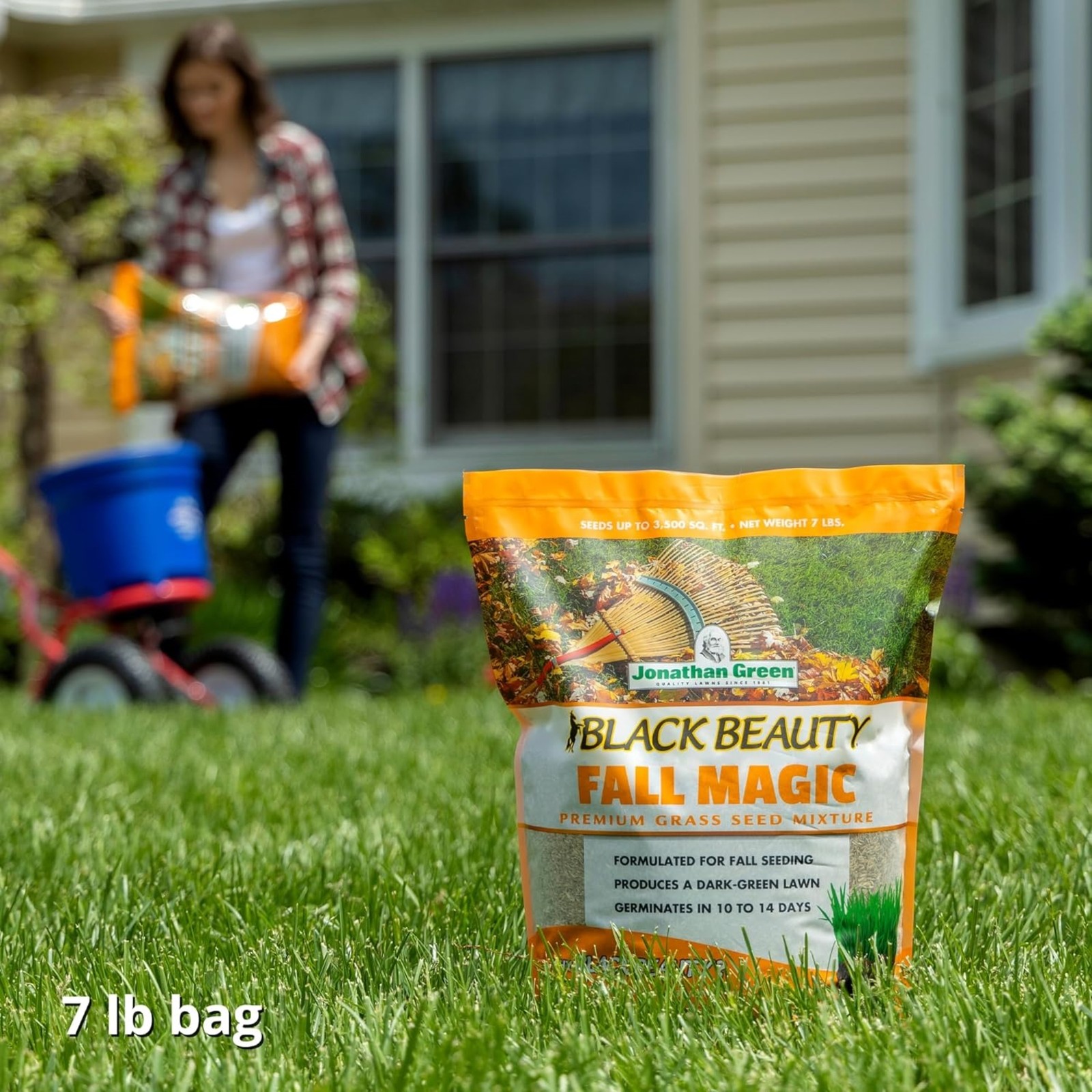 Jonathan Green Black Beauty Fall Magic Grass Seed, 7lb