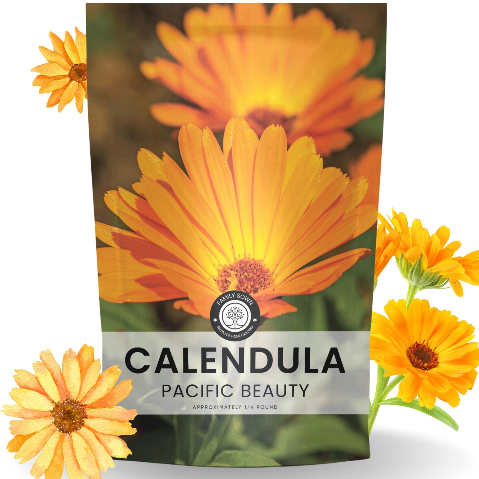 Bulk Calendula Seeds 12,000 Flower Seeds for Planting 1/4 Pound Pouch
